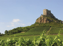 bourgogne-beaujolais-vins