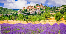 vins-provence